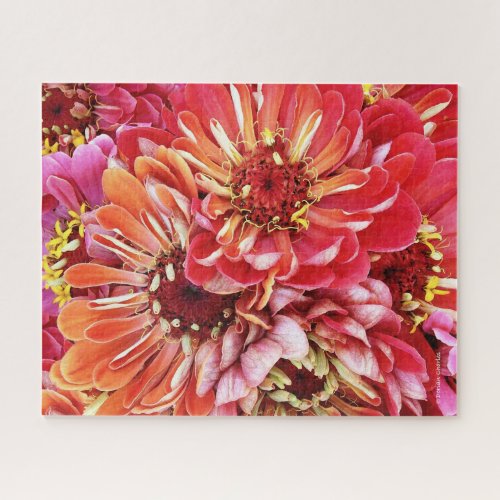 Bold  Beautiful Jigsaw Puzzle