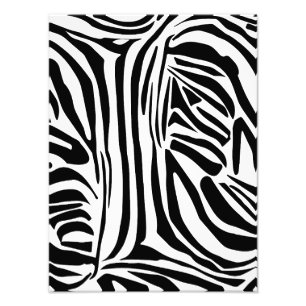 Bold Black and White Zebra Print Pattern