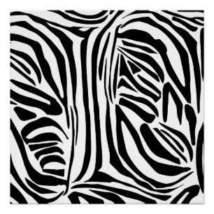 Bold Black and White Zebra Print Pattern