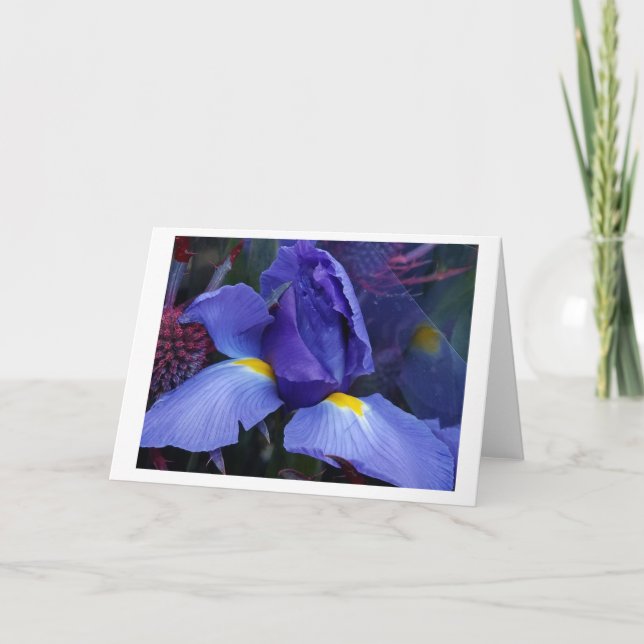 Bold Blue Iris Note Card Sets (Front)