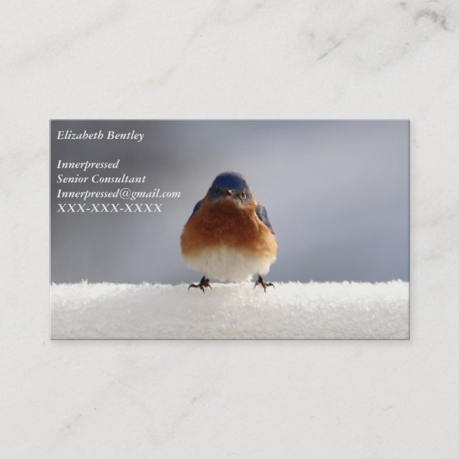 Bold Bluebird Business Card (Front)