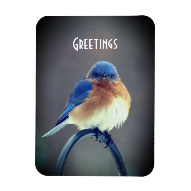Bold Bluebird Magnet (Vertical)