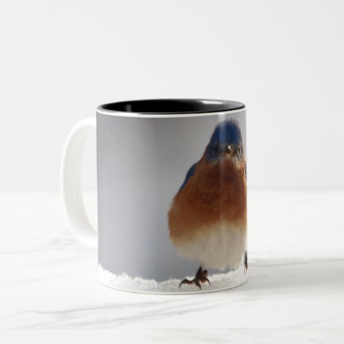 Bold Bluebird Two_Tone Coffee Mug