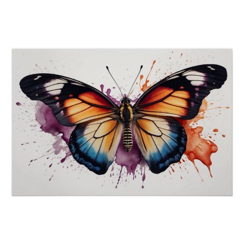  Bold Butterfly Spash Watercolor AP52 Poster