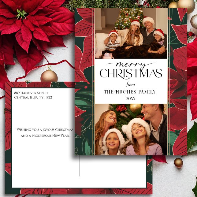 Bold Christmas Poinsettia Botanical 2-Photo Holiday Postcard (Creator Uploaded)