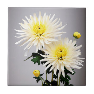 Bold Chrysanthemum Abstract Ceramic Tile
