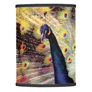 Bold Colorful Stylish Modern Peacock Artwork Lamp Shade