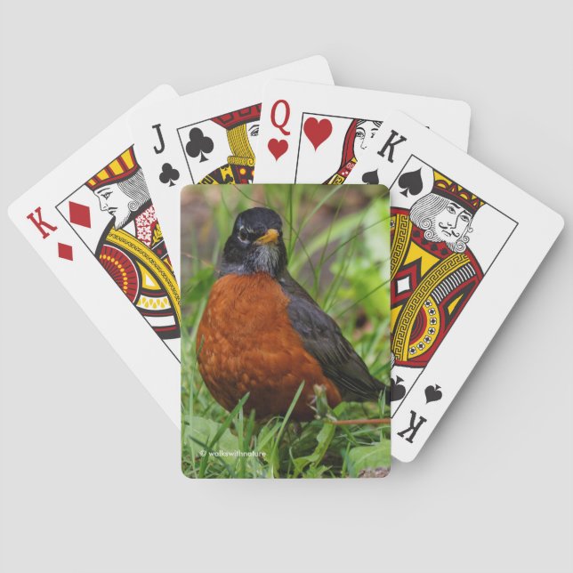 Bold Curious American Robin in Green Grass Poker Cards (Back)