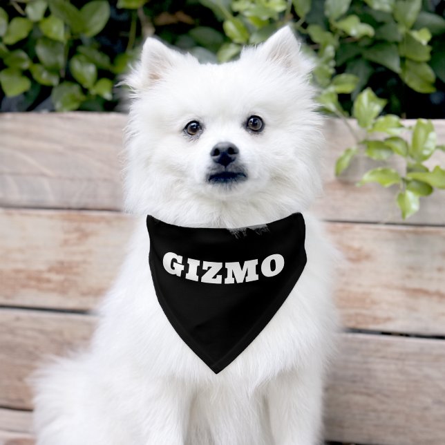 Bold Custom Dog Name – Solid Black  Pet Bandana Collar (Dog)