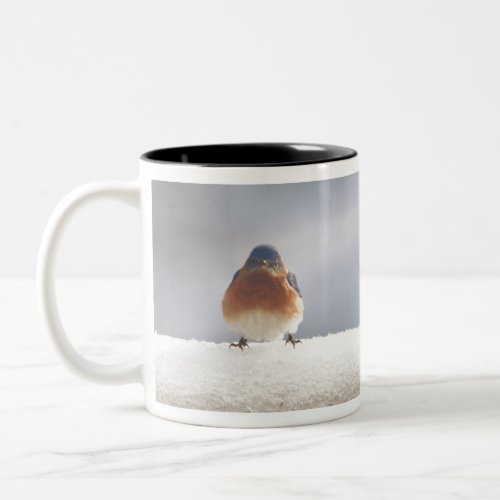 Bold Eastern BlueBird Two_Tone Coffee Mug