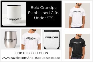 Bold Grandpa Established Gifts Under $35