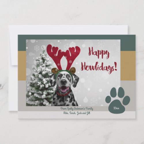 Bold Modern Pet Lover Funny Christmas Photo Holiday Card