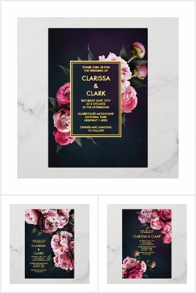 Bold Modern Pink Peony