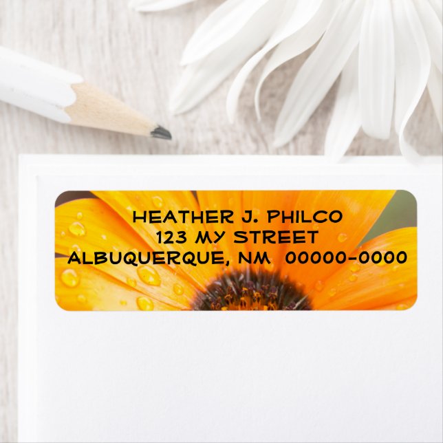 Bold Orange Wet Daisy Half Close-Up Photograph Label (Insitu)