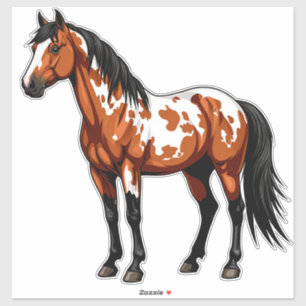 Bold Paint Horse Sticker