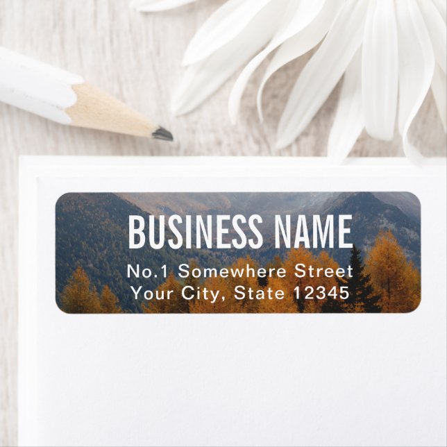 Bold Photographer Return Address Label  (Insitu)