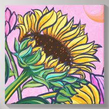 Bold Pink Yellow Summer Sunflower Looking Up