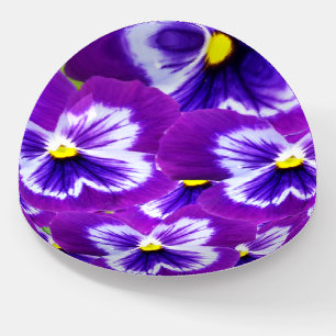 Bold Purple Fairy Pansies, Paperweight