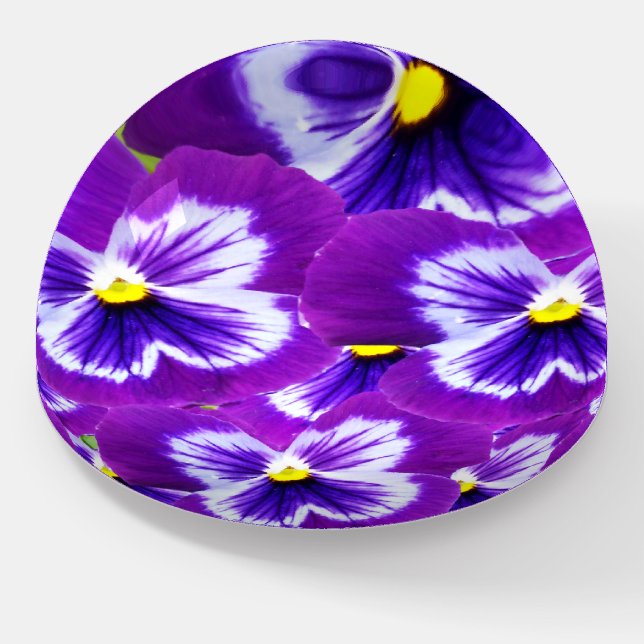 Bold Purple Fairy Pansies, Paperweight (Angled)