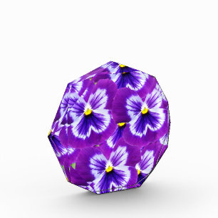 Bold Purple Fairy Pansies, Photo Block