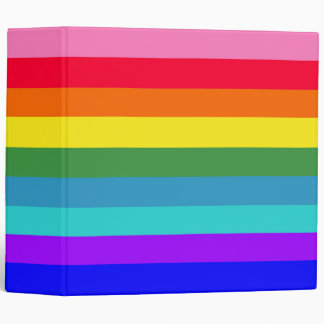 Bold Rainbow Stripes 3 ring binder