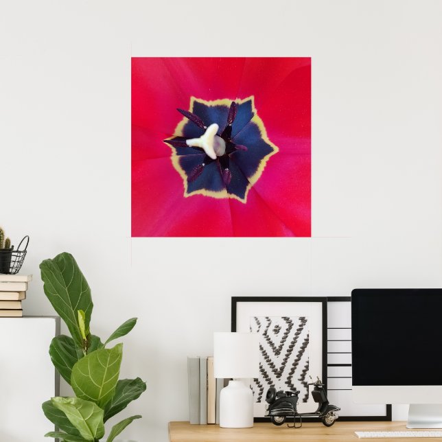 Bold Red Tulip Flower Macro Nature Photography Poster (Home Office)