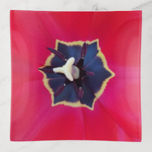 Bold Red Tulip Flower Macro Nature Photography Trinket Tray