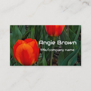 bold red tulips  flower photography nature  business card