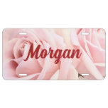 Bold Script Name/Message &amp; Photo Pale Pink Roses License Plate