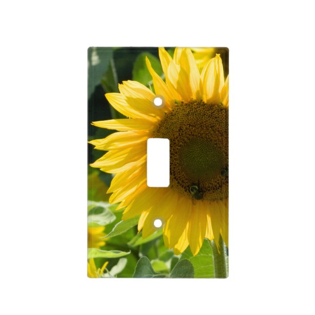 Bold Sunflower Light Switch Cover (Front)