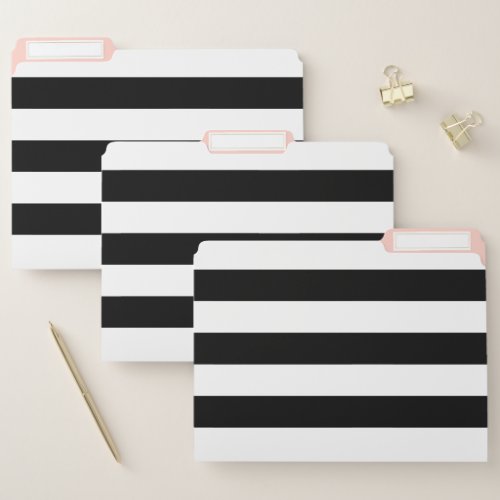 Bold White Stripe over Custom Color Black File Folder