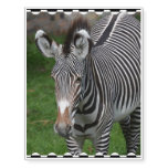 Bold Zebra Stripes Temporary Tattoos