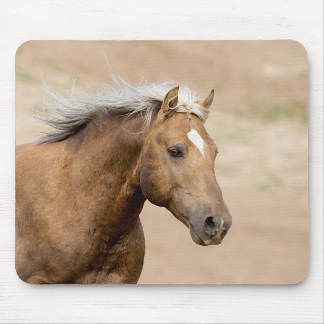 Bolder Runs Mounsepad from Save Wild Horses Mouse Pad (Front)