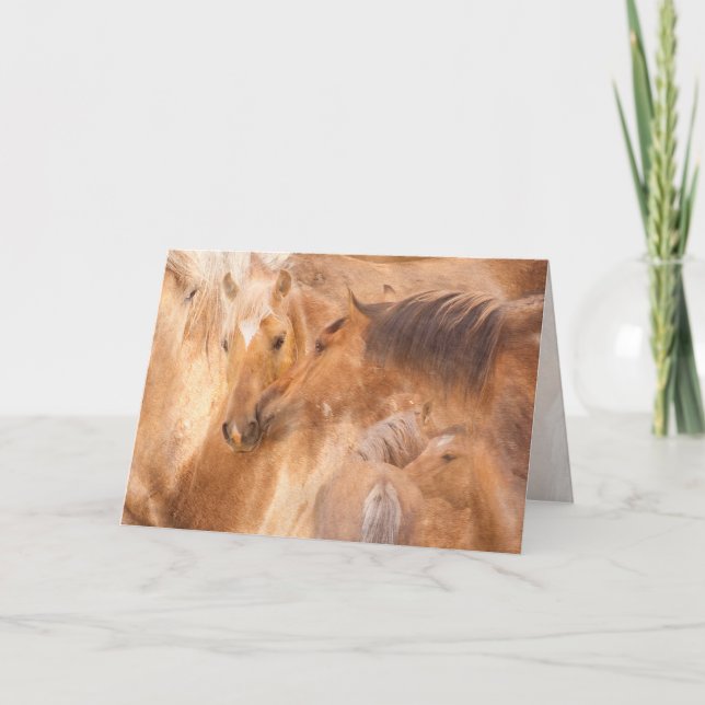 Bolder's Rise Greeting Card (Front)