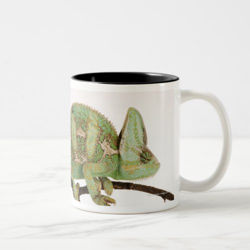 Boldly coloured chameleon with characteristic 2 Two_Tone coffee mug