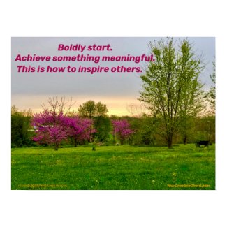 Boldly Start. Poster