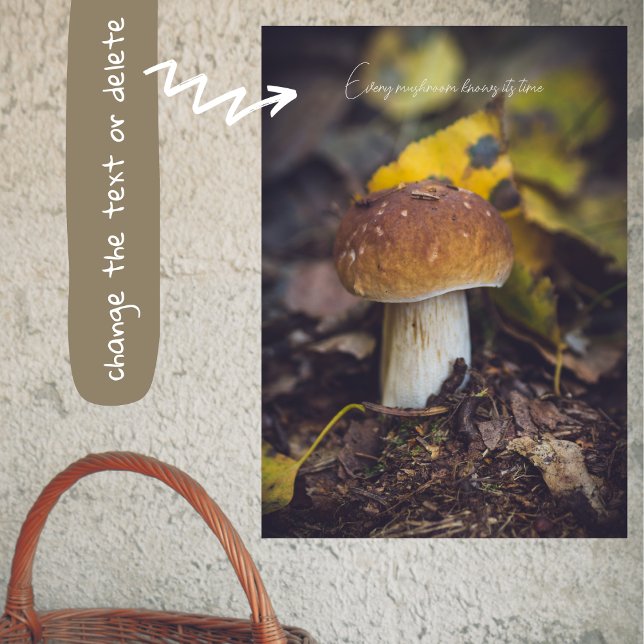 Bolete mushroom with yellow leaves poster (Creator Uploaded)