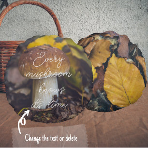 Bolete mushroom with yellow leaves round pillow