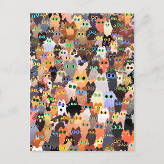 Boli in Cats Postcard