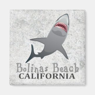 Bolinas Beach California shark magnet