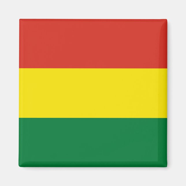 Bolivia Flag Magnet (Front)