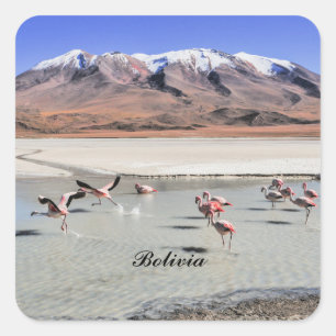 Bolivia landscape photograph with flamingos square sticker