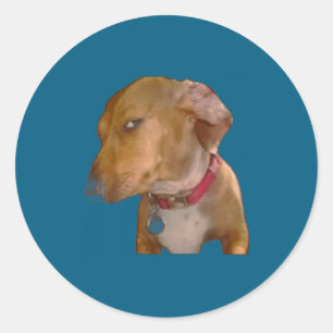 Bombastic Side Eye Funny Dog Classic Round Sticker
