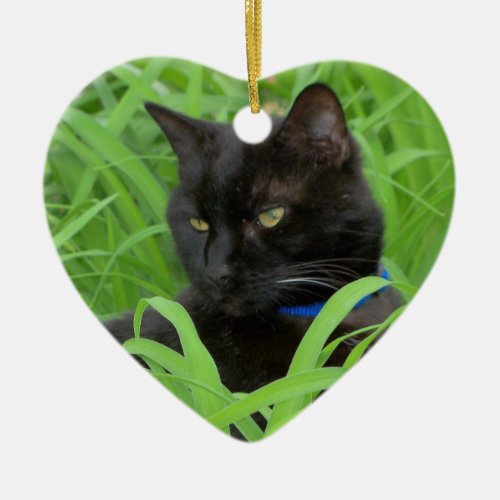 Bombay Black Cat Birthday Ornament