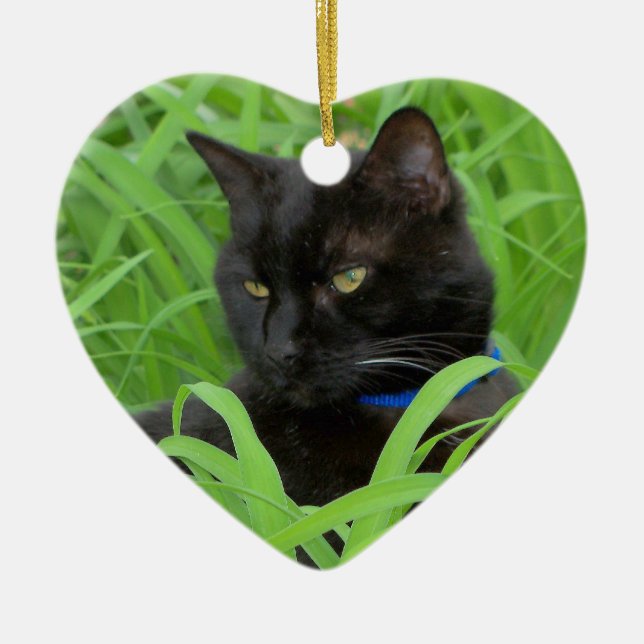 Bombay Black Cat Birthday Ornament (Front)