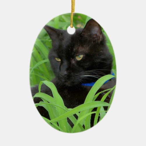 Bombay Black Cat Gift Greeting Ornament