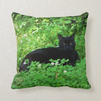 Bombay Black Cat Throw Pillow