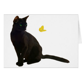 Bombay Cat & Butterfly Cards