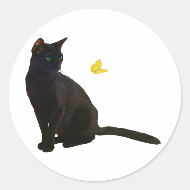 Bombay Cat & Butterfly Classic Round Sticker (Front)