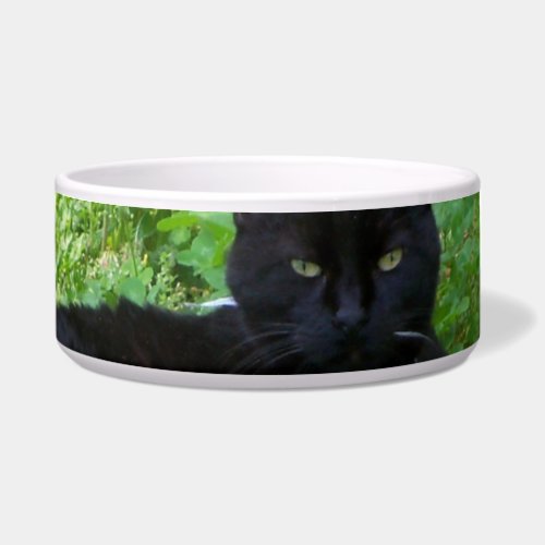 Bombay Cat Lying in Clover Food Bowl